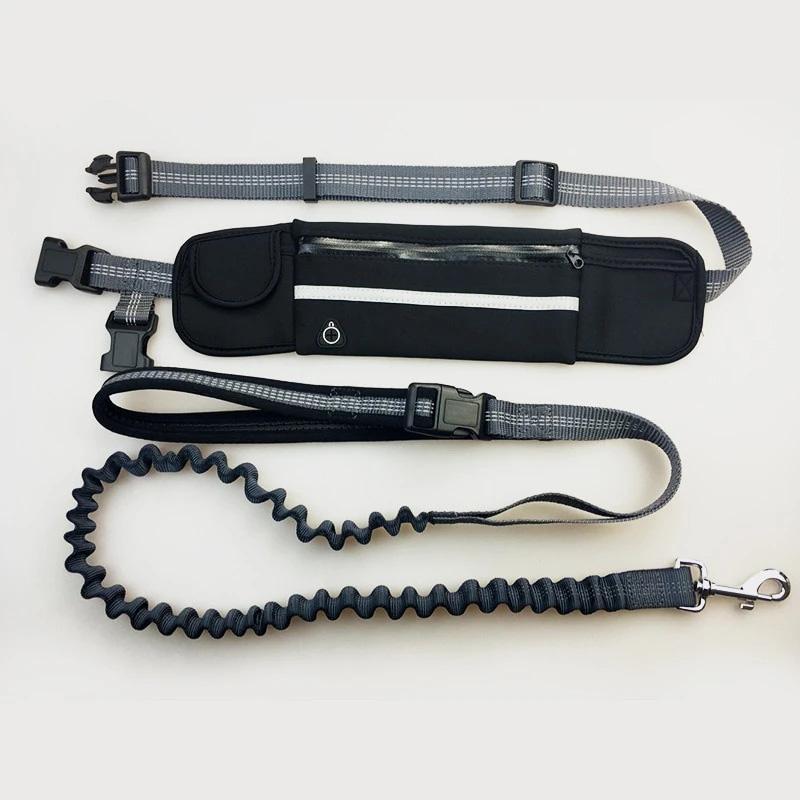 Buddy Bungee Dog Leash | 168DEAL