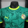 2025 Player Version Senegal Soccer Jersey Away