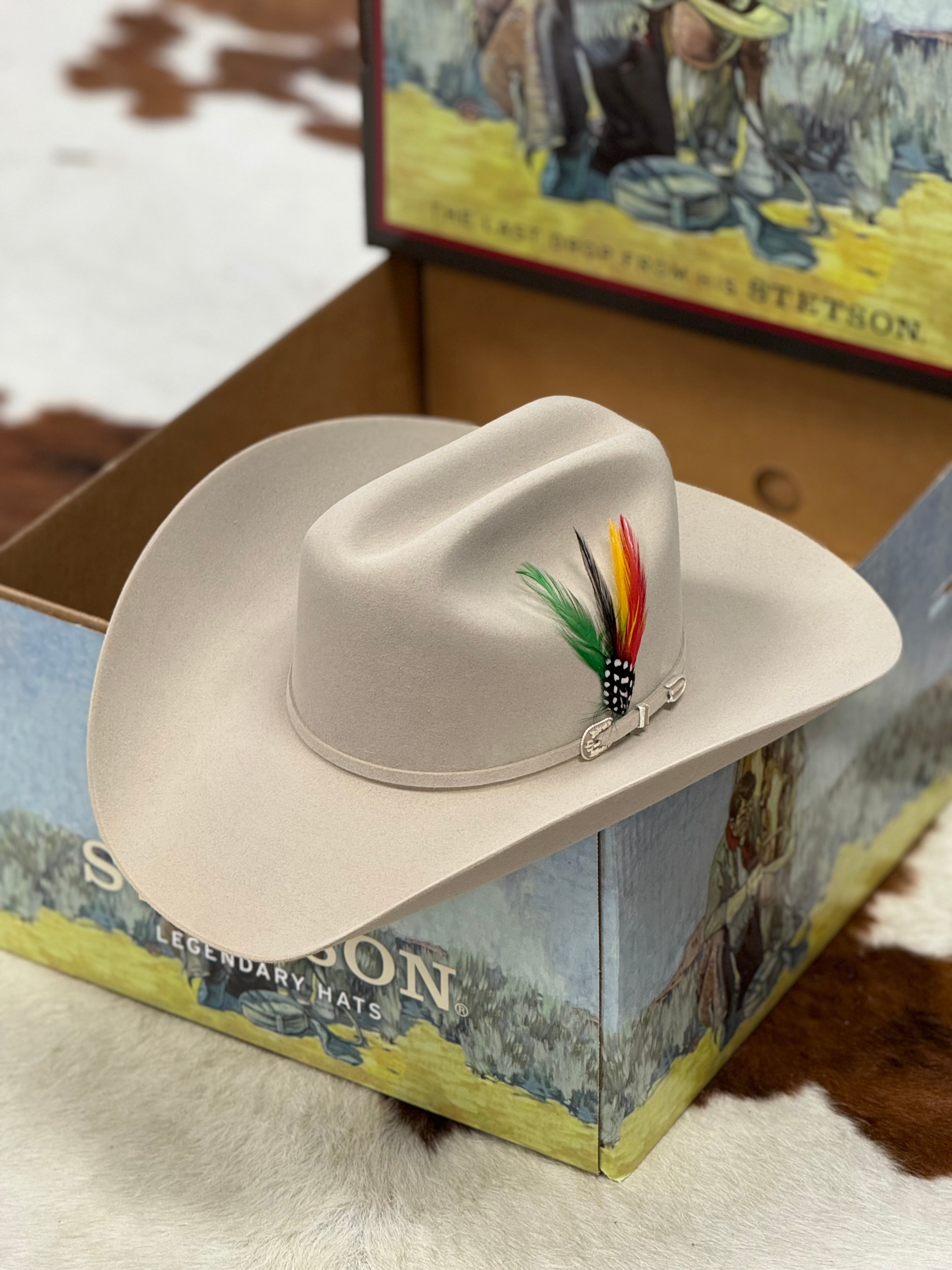 STETSON 6X SILVER BELLY SKYLINE TRADICIONAL