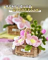 DIY Handmade Twist Stick Craft lower Basket Chenille Stems Craft Pipe Cleaners Gift Decor Set