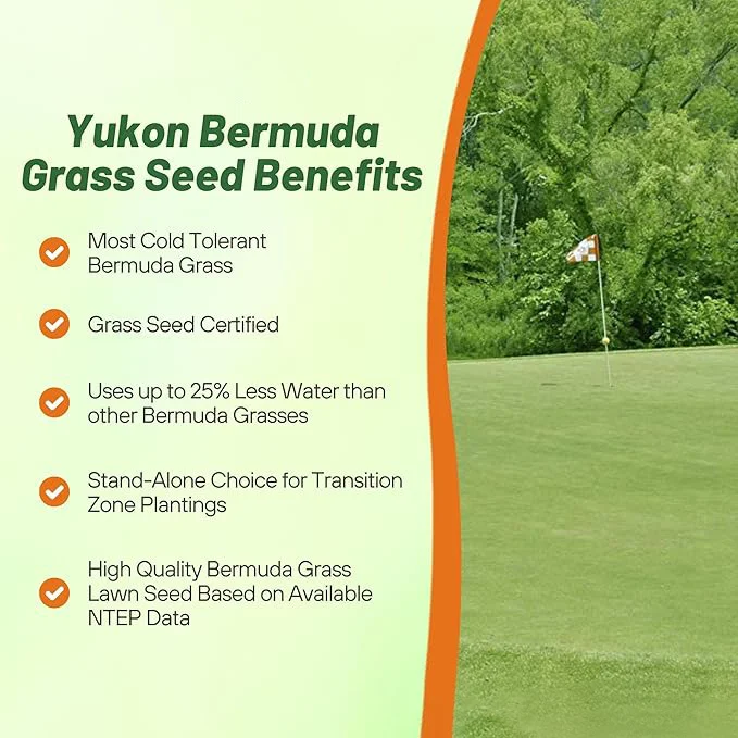 Yukon Bermuda Grass Seed