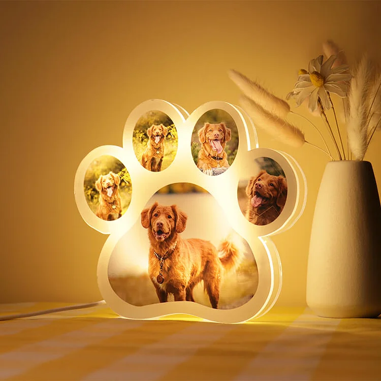 Lámpara con 5 fotos personalizadas en forma de garra