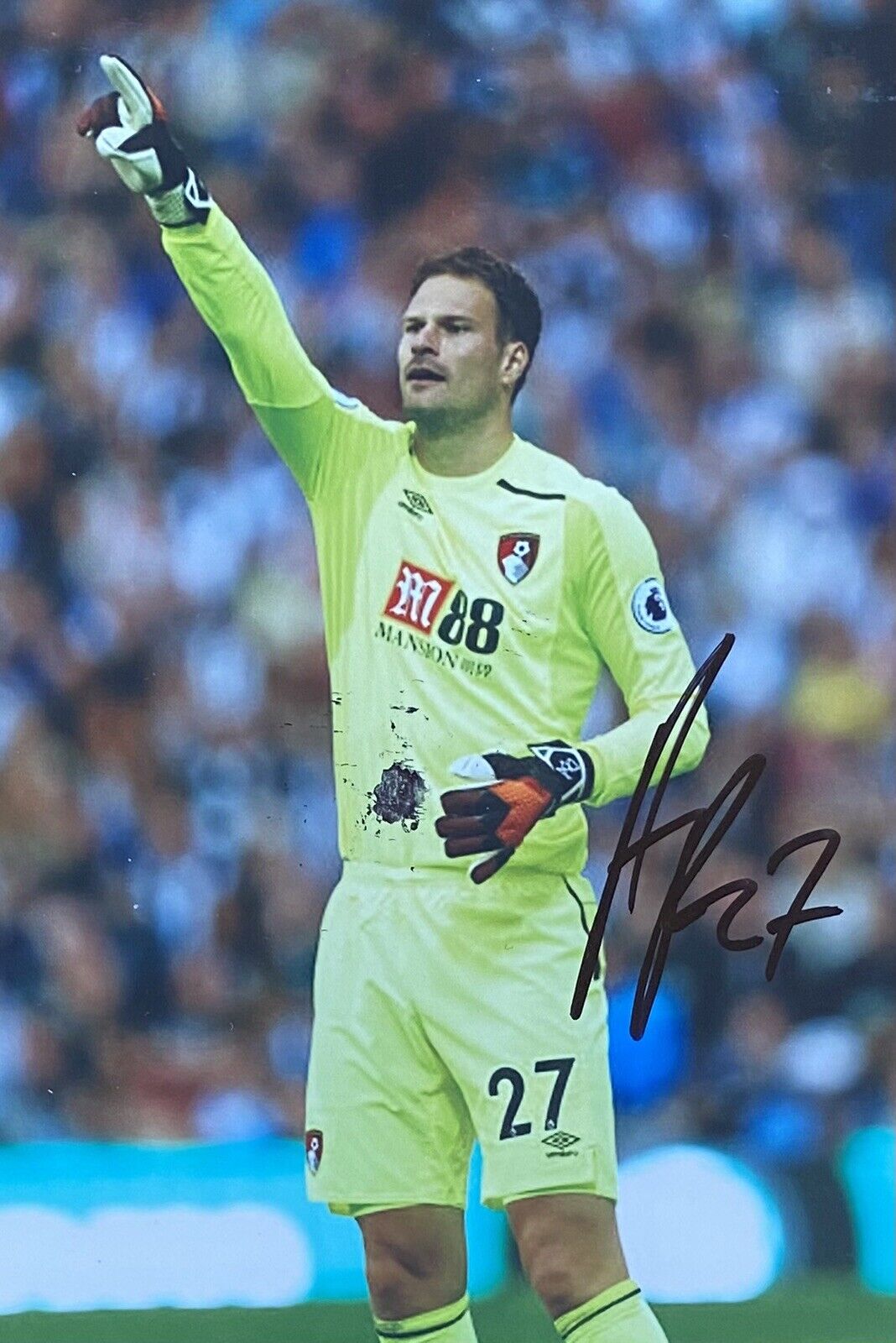 Asmir Begovic Genuine Hand Signed Bournemouth AFC 6X4 Photo Poster painting