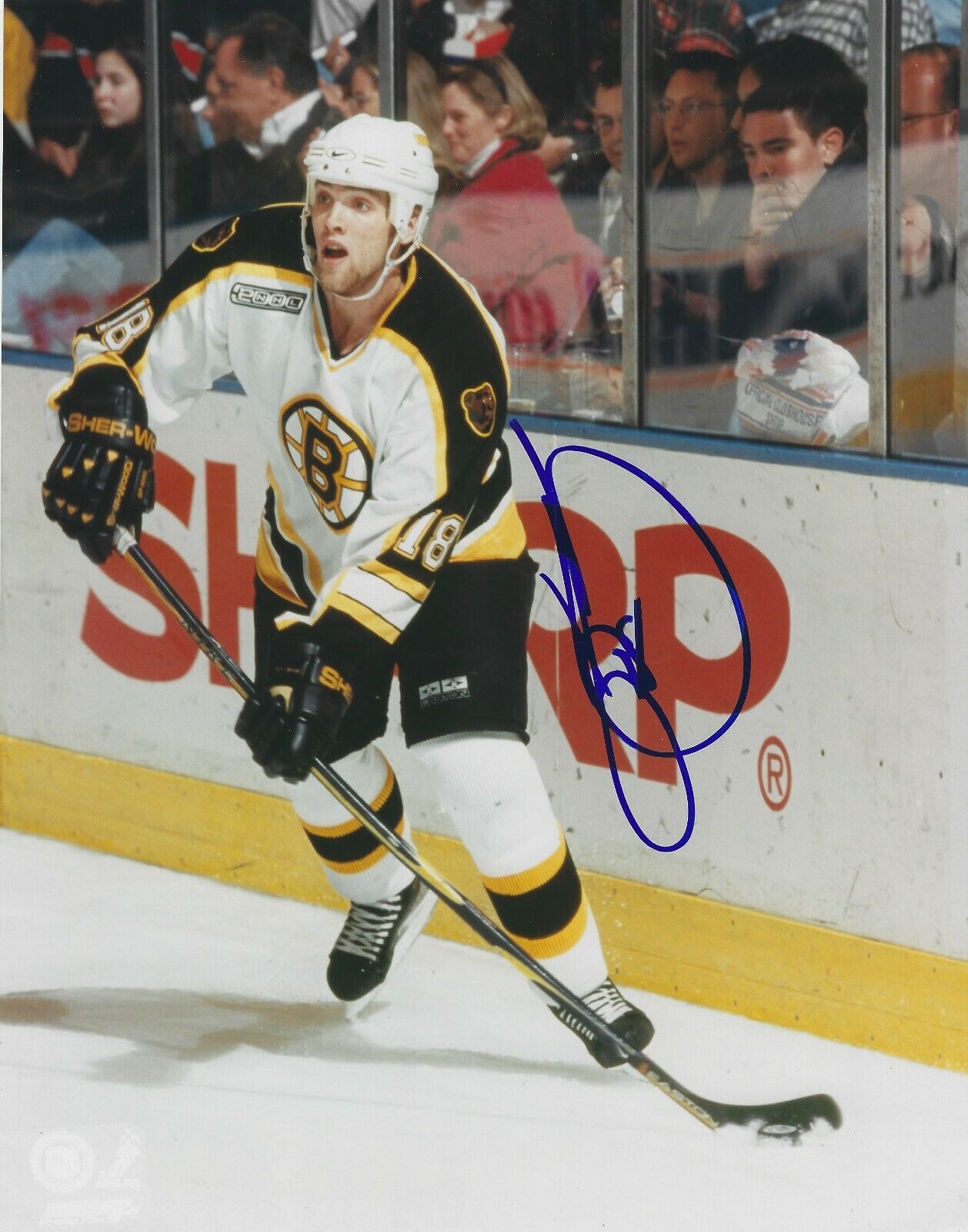 Signed 8x10 KYLE MCLAREN Boston Bruins Autographed Photo Poster painting - COA