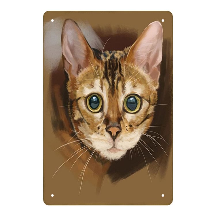 Cute Cat - Vintage Tin Signs/Wooden Signs - 7.9x11.8in & 11.8x15.7in