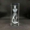 Pok&eacute;mon Mewtwo Fossil Skeleton Crystal Column Colorful Square Crystal Base