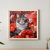 Diamond Painting -DIY Round Drill Cat(40x40cm)