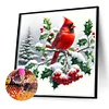 Diamond Painting-DIY Full Round Drill Cardinal(40*40 CM)