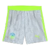 Manchester City Third Away Soccer Shorts 2025/26