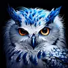 Diamond Painting -DIY Round Drill Owl
