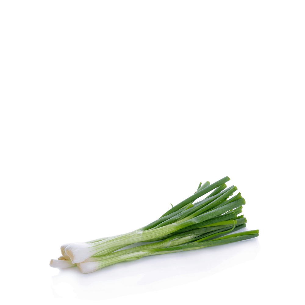 Leek Seeds &ndash; Long, Thick Stalks with Mild Onion Flavor