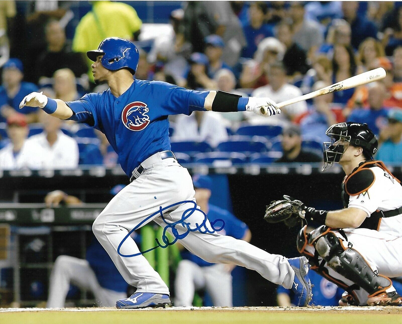 WILLSON CONTRERAS signed autographed CHICAGO CUBS 8X10 Photo Poster painting w/COA PROOF RARE