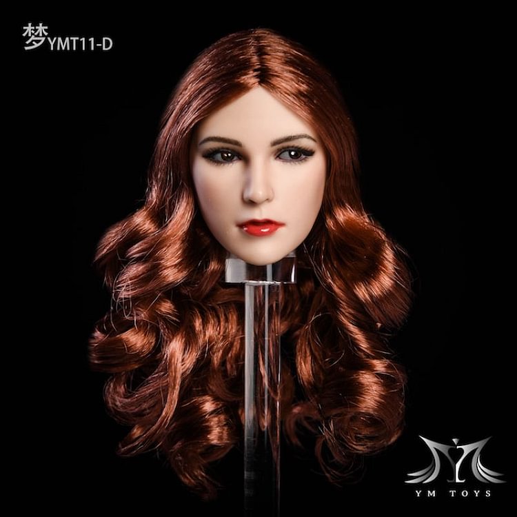 YMTOYS YMT011 1/6 MENG Beautiful Lady Head Sculpt with Rooted Hair for 12inch Collectible Tbleague Action Figure DIY-aliexpress