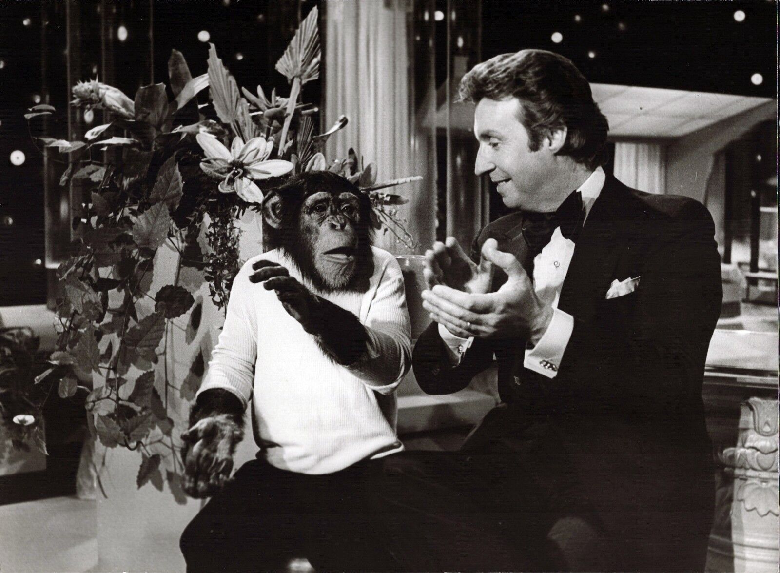 Peter Alexander With Chimpanzee - Vintage Press Photo Poster painting Unfried (U-2071