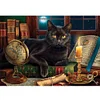 Black Cat - 14CT Counted Cross Stitch 55*40cm/21.65*15.75in