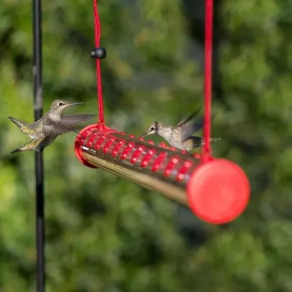 BOB'S BEST HUMMINGBIRD FEEDER