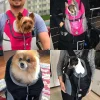 🔥LAST DAY 48% OFF🔥2023 Summer Dog Backpack