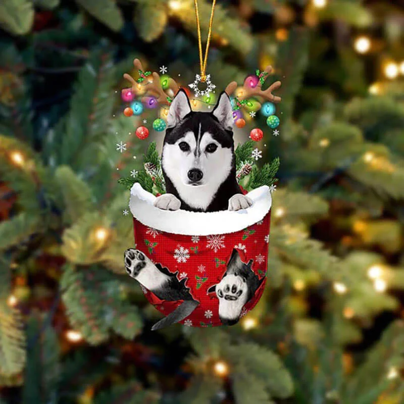 VigorDaily Husky In Snow Pocket Christmas Ornament SP058