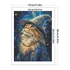 Magic Cat-14CT Stamped Cross Stitch Egyptian Cotton 70*90cm/27.56*35.43in (Big Size) tapestrymarket