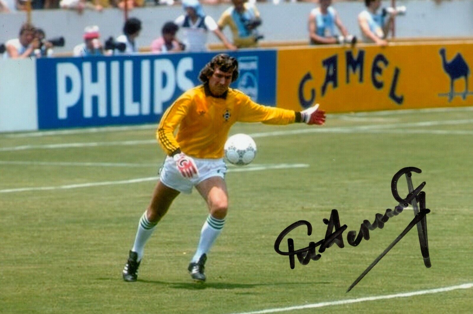 Pat Jennings Signed 6x4 Photo Poster painting Northern Ireland Tottenham Hotspur Autograph + COA