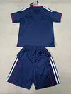 Joyfball 2025/2026 Kids Size Lyon Away Football Shirt