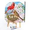uk.everydayedeals (Limited Stock)Paint By Number - Oil Painting -  Cardinals (40*40Cm)