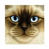 Cat | Full Round/Square Diamond Painting Kits | 20x20cm | 30x30cm