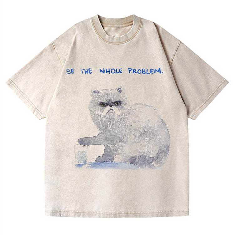 Be The Whole Problem Men's washed T-shirt