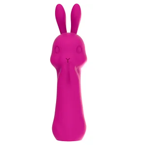 Mini Rabbit Bullet Vibrator & Clit Stimulator