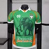 2026 Player Version C&ocirc;te d'Ivoire Special Edition Green Football Shirt 1:1 Thai Quality