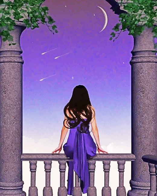

Girl Watching The Sky – Paint By Numbers - 40*50CM, 501 Original