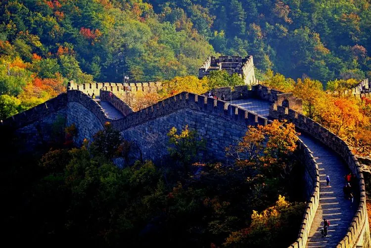 Beijing Tour for Families: How to Keep Everyone Happy
