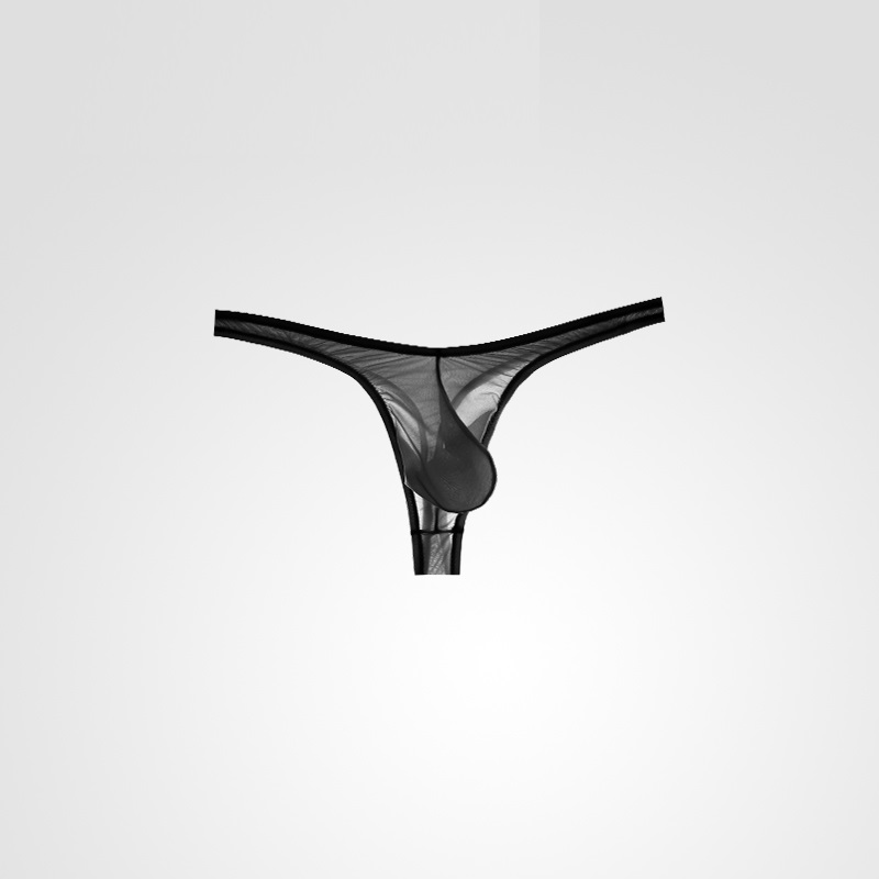 Ultra-thin sexy fully transparent ice silk seamless U convex thong