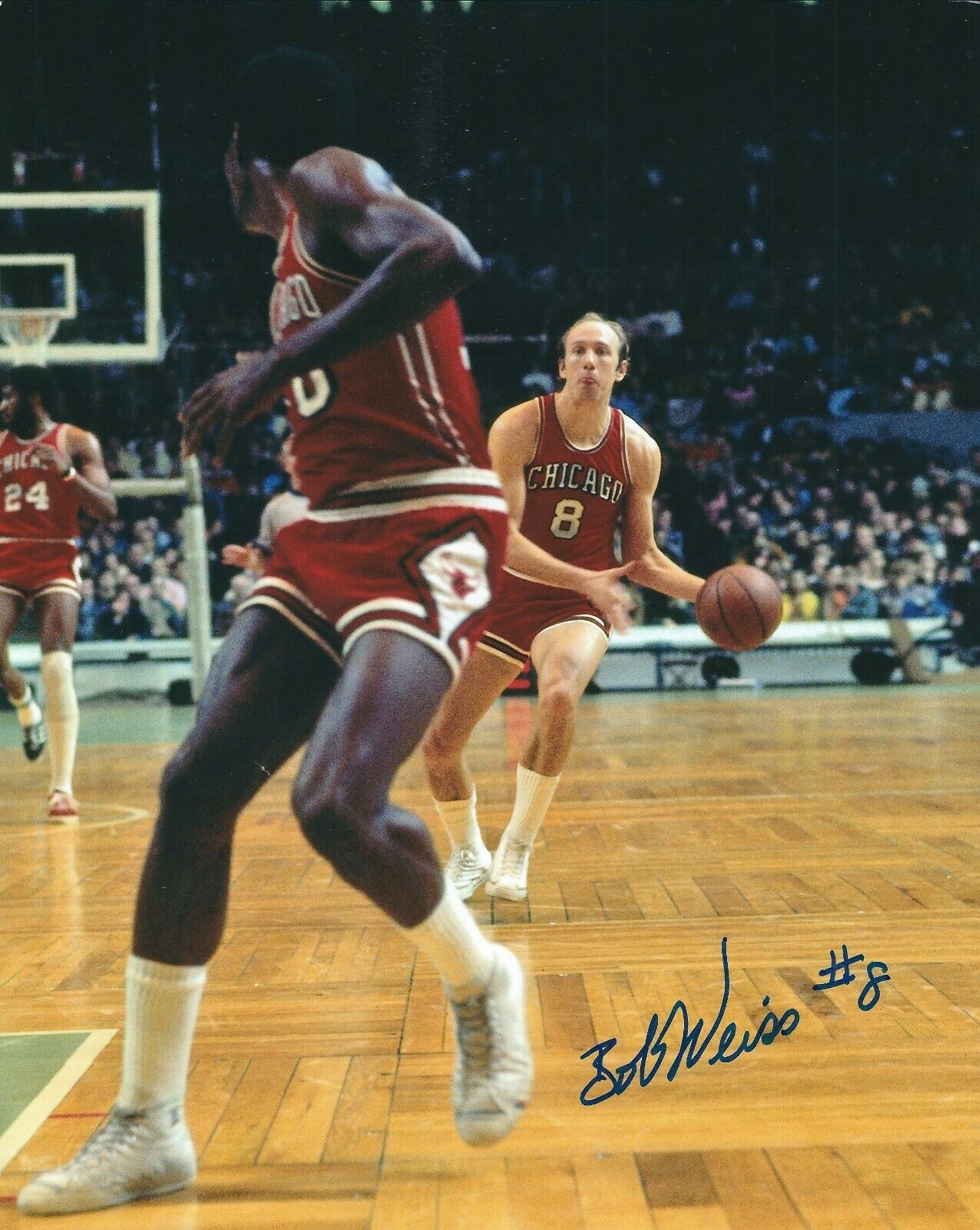 Signed 8x10 BOB WEISS Chicago Bulls Autographed Photo Poster painting w/COA