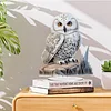 Diamond Painting Decor Acrylic Owl Desk Ornament