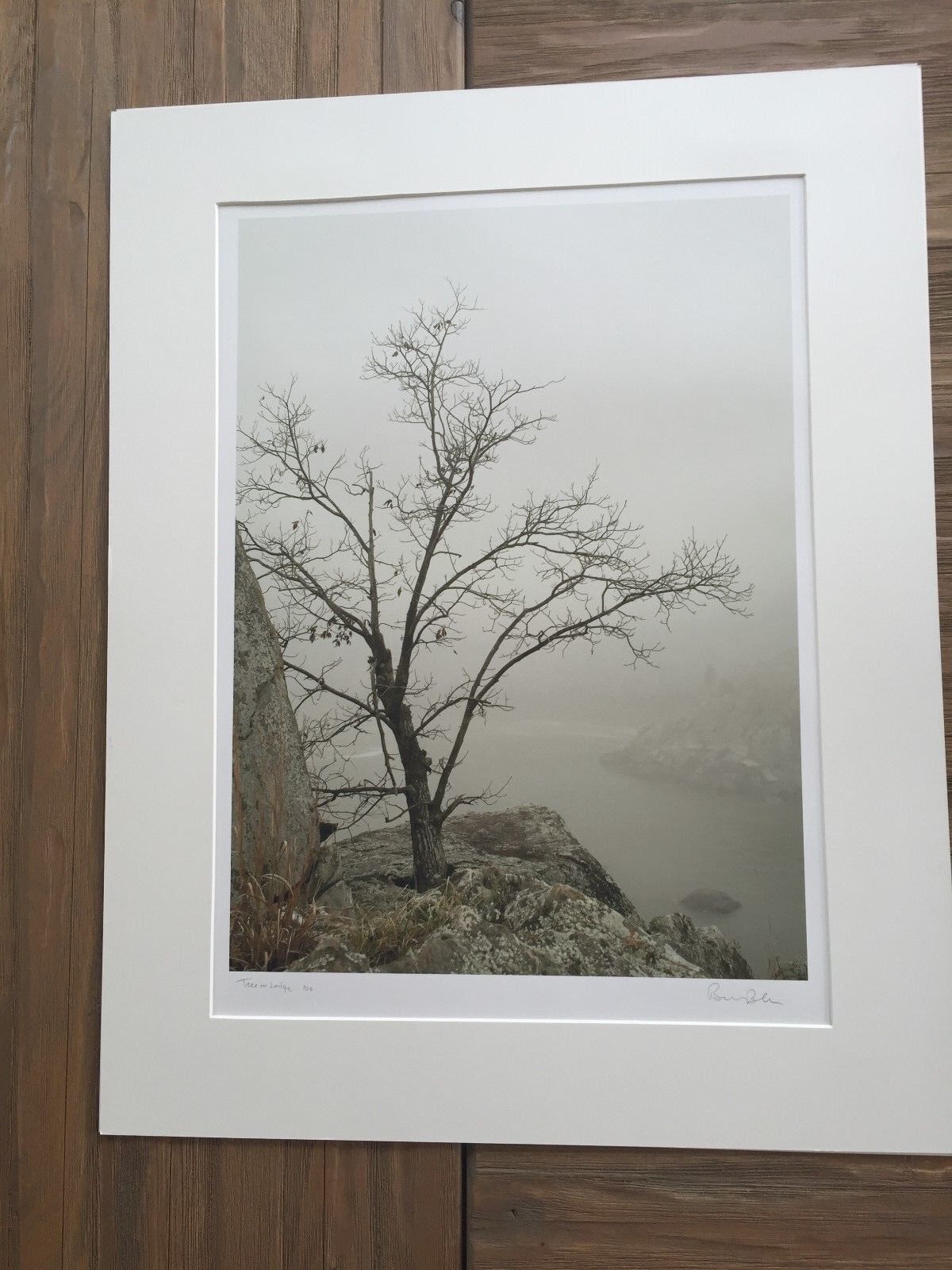 Bruce Blum Unterzeichnet Sepia Fotodruck (48.3cmX 61cm) - CM Baum Auf Leiste