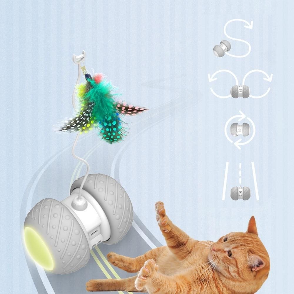 FeliWheel - Automatic Multi-track Spinning Cat Toy