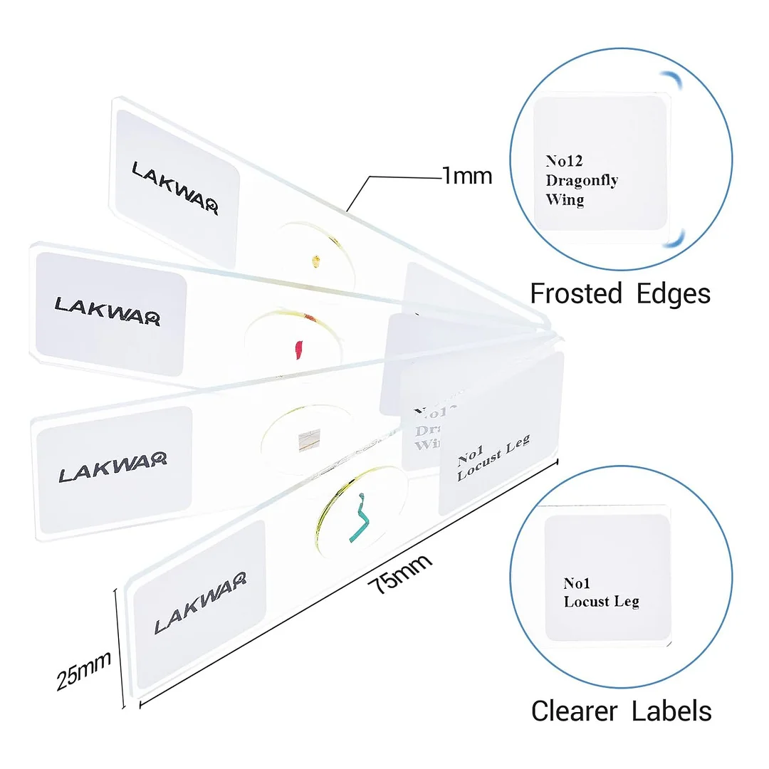 25 Insect Microscope Slides with Specimens for Kids Adults, Prepared Insect Microscope Slides Kit