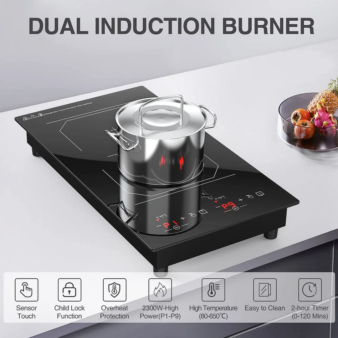 Electric Cooktop, 120V Electric Stove 9 Power Levels with 2 Burner