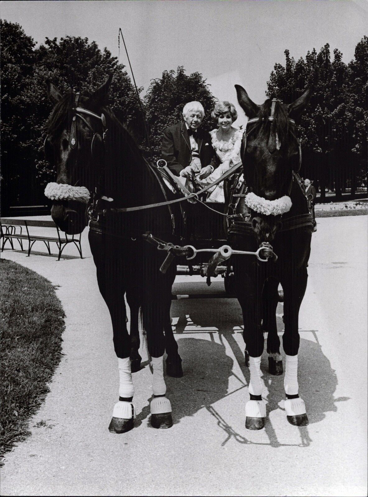 Anneliese Rothenberger Horses Carriage Vintage Press Photo Poster painting Norbert Unfried (