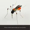 Insects DIY Assembly Model Cicada Toy Handmade Puzzle Figures with Voice-activated Photo Frame