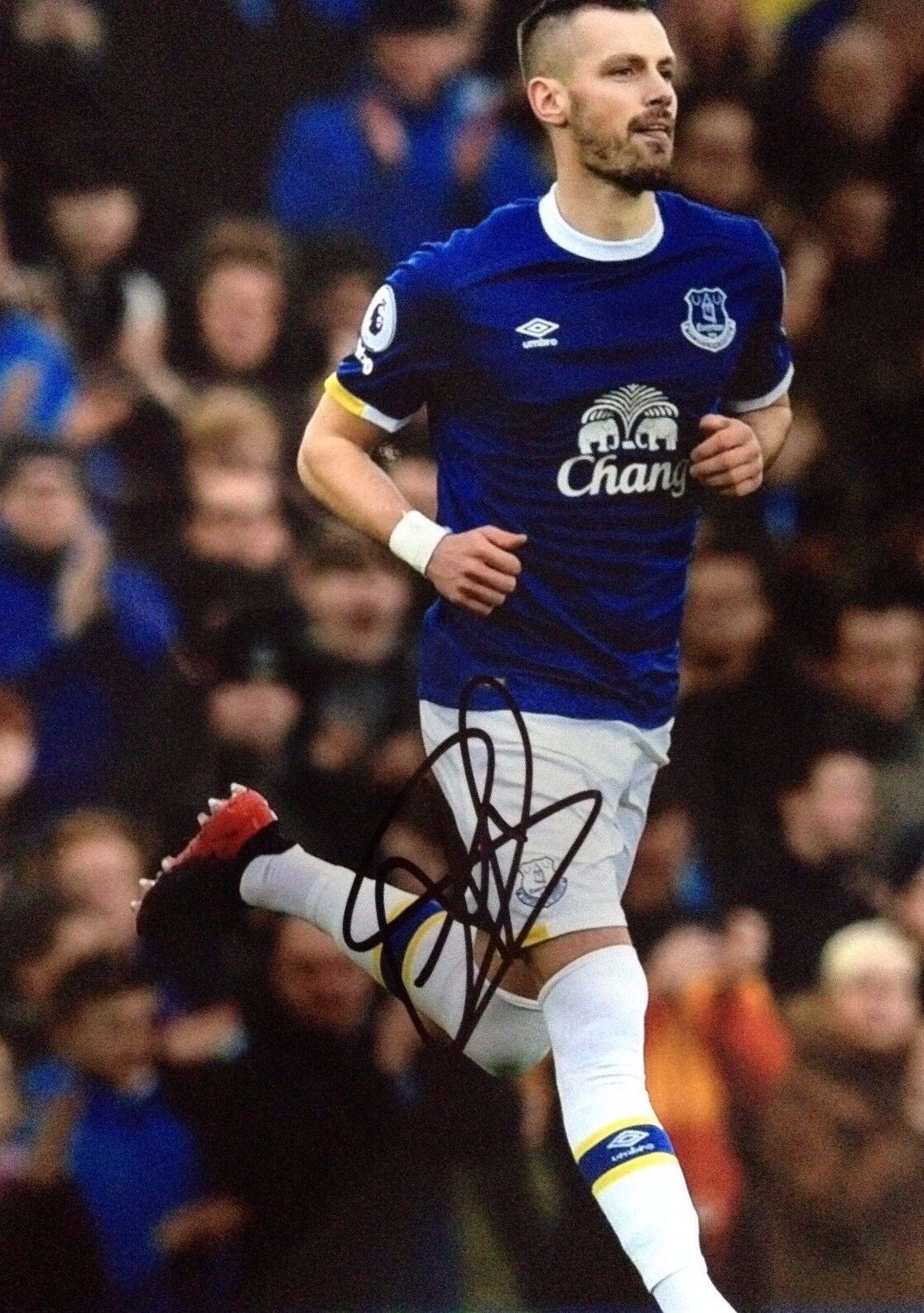 MORGAN SCHNEIDERLIN - EVERTON FOOTBALLER - SUPERB SIGNED COLOUR Photo Poster paintingGRAPH