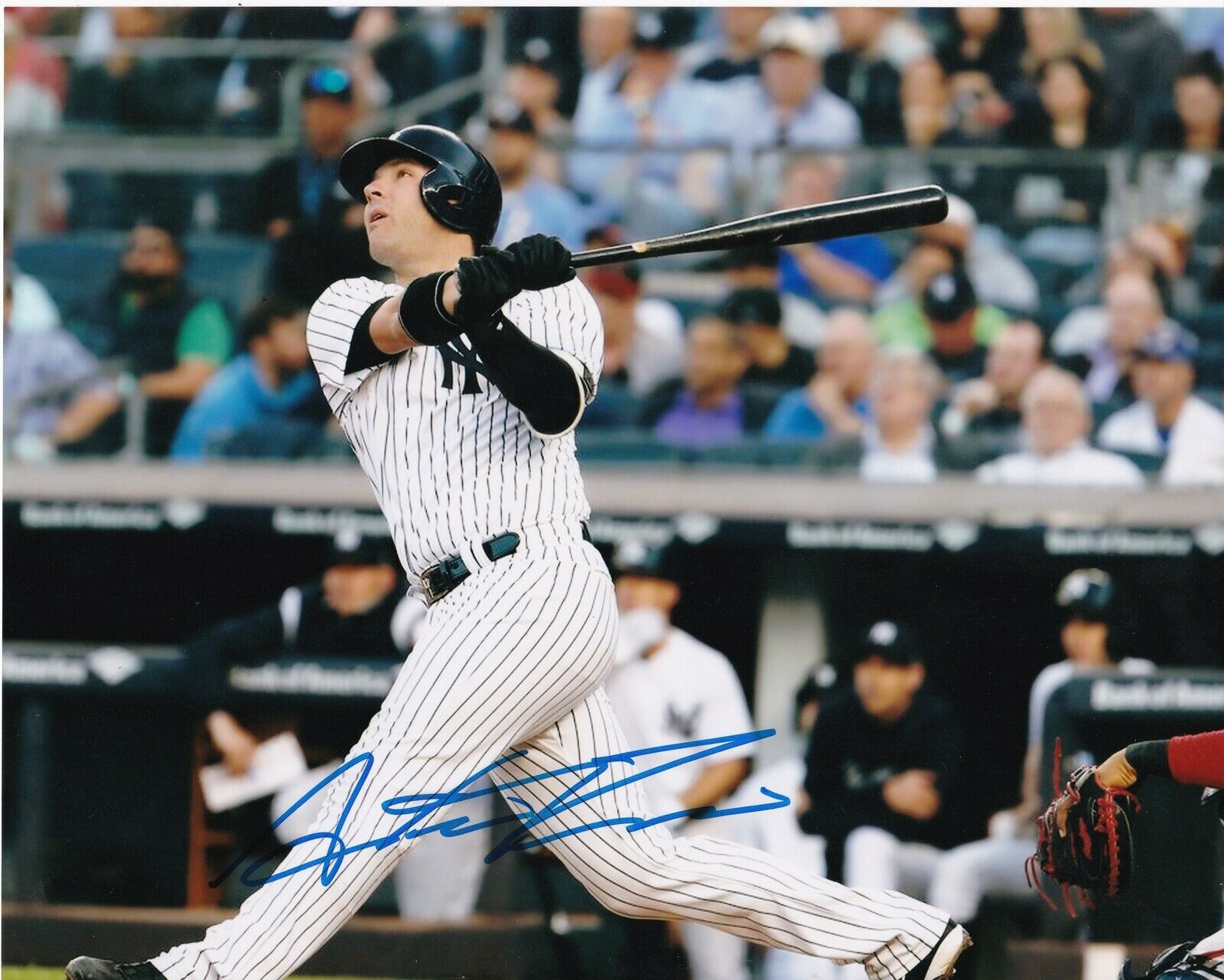 AUSTIN ROMINE NEW YORK YANKEES ACTION SIGNED 8x10