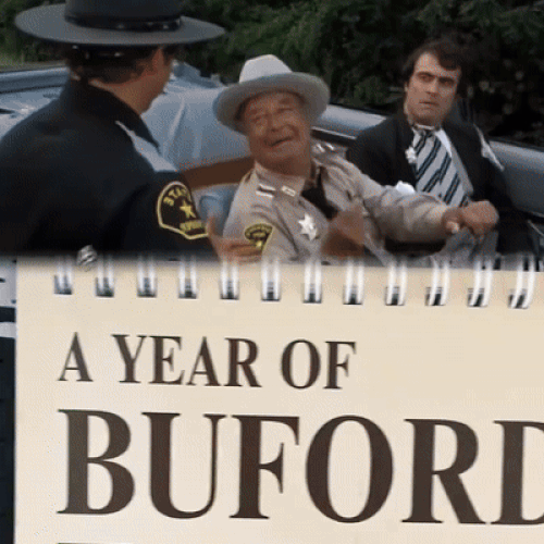 7562377768525139255.mp4 [resize output image]