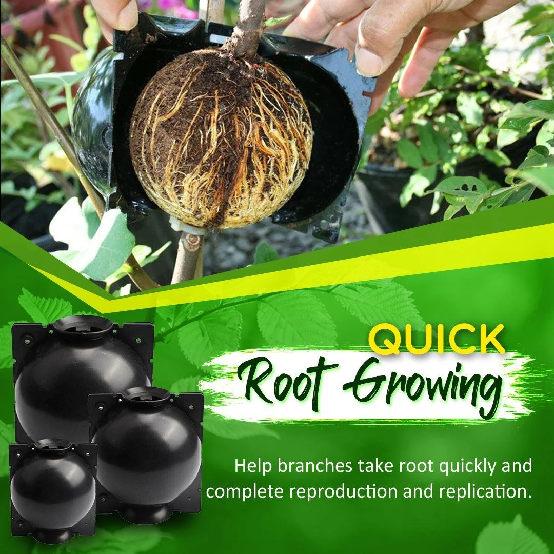 Plant Root Growing Box