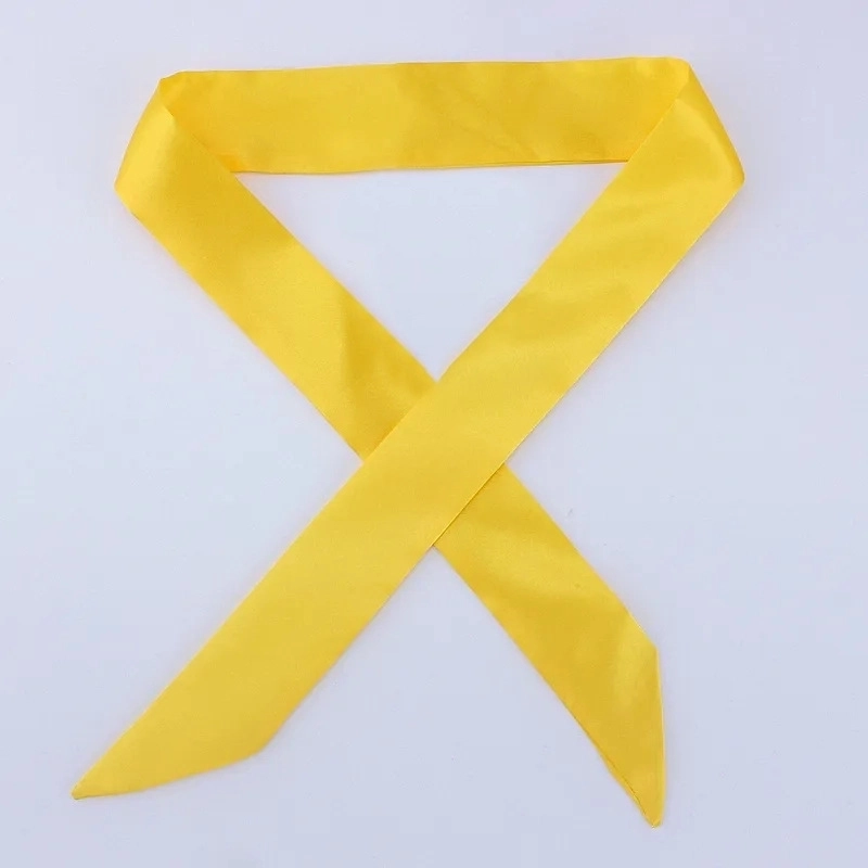 Women’s Minimalist Solid Color Satin Silk Scarves