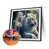 Diamond Painting-DIY Full Round Drill Beauty and Tiger(40*40CM)