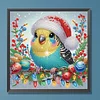 Diamond Painting - Partial Special Shaped Drill - Winter Parrot(Canvas|30*30cm)