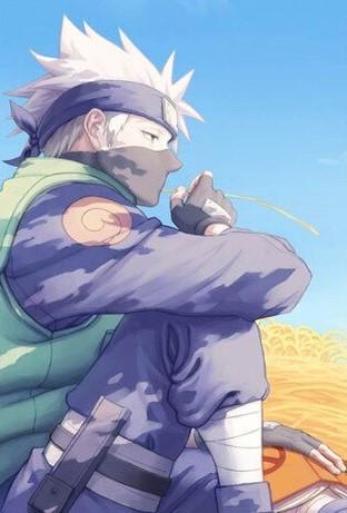 

Kakashi Sensei – Paint By Numbers - 40*50CM, 501 Original
