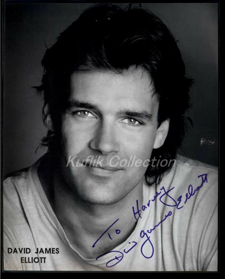 David James Elliott - Signed Autograph Headshot Photo Poster painting - JAG - Actor